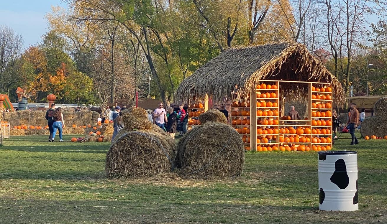 Осінь – час на приготування гарбузового супу